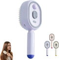 BrumaSpa™ — Escova Massageadora 3 em 1 com Spray