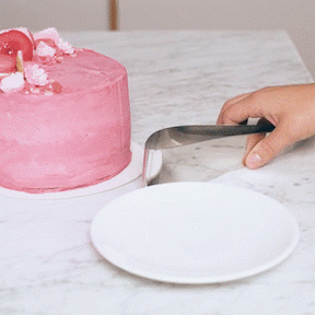 Fatiador de Bolo e Torta Inox com Design Europeu Premium - achatudostore